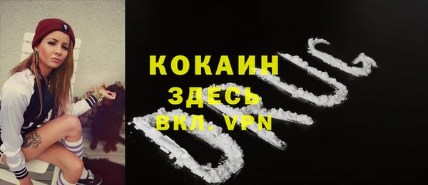 твердый Аркадак