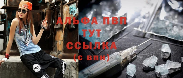 твердый Аркадак
