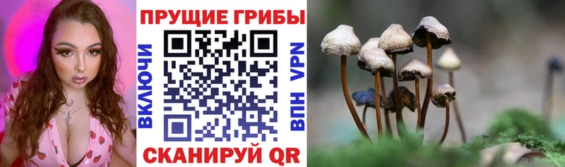 Галлюциногенные грибы мухоморы  где продают   Коряжма 