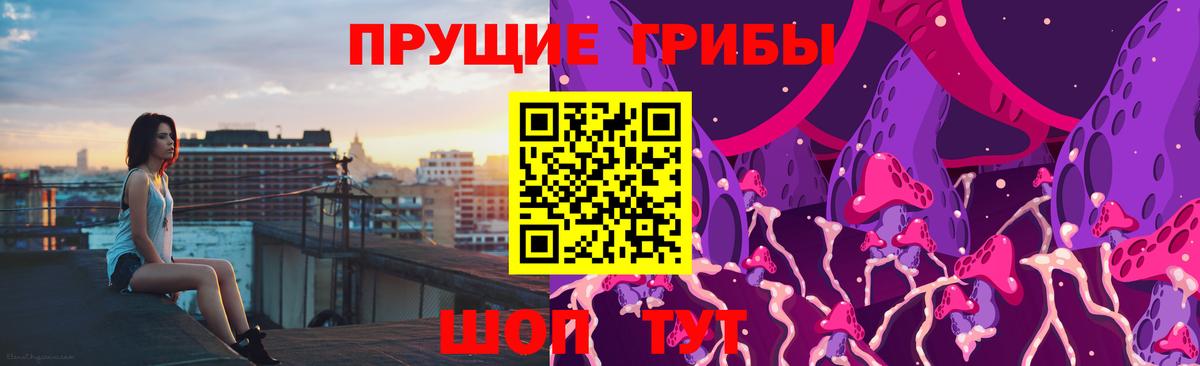 Галлюциногенные грибы прущие грибы Коряжма