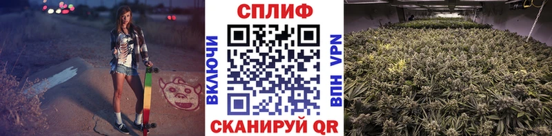 Конопля MAZAR  Коряжма 